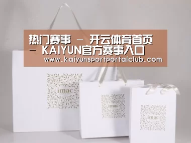 项目名称十一