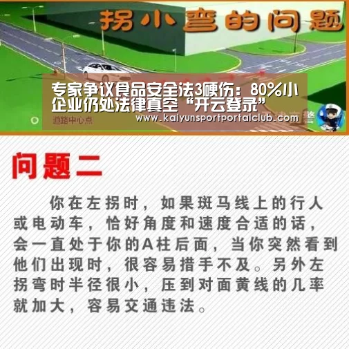 专家争议食品安全法3硬伤:80%小企业仍处法律真空“开云登录”(图1) 开云体育官网