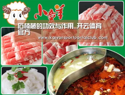石楠藤的功效与作用_开云体育官方(图4) 开云登录