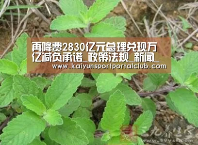 再降费2830亿元总理兑现万亿减负承诺_政策法规_新闻_矿道网【开云体育官方】(图3) 开云体育官网