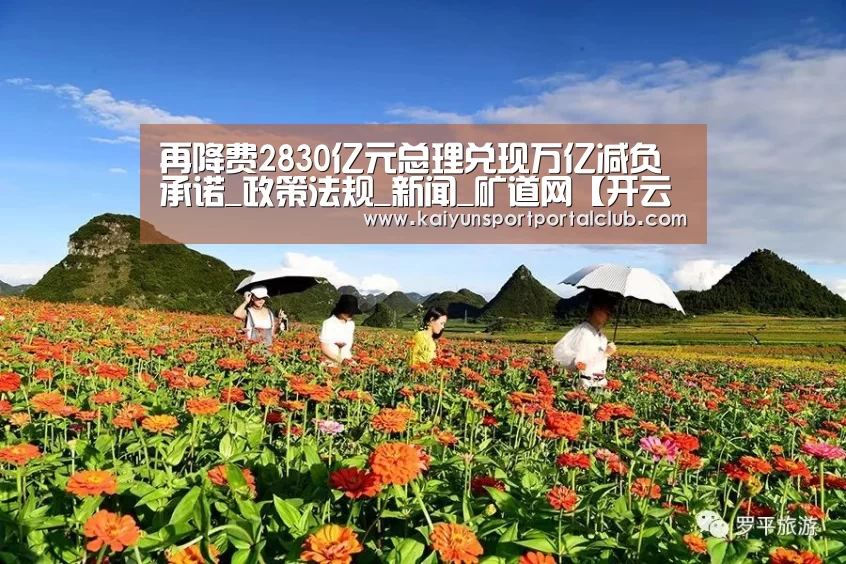 再降费2830亿元总理兑现万亿减负承诺_政策法规_新闻_矿道网【开云体育官方】(图1) 开云体育官方