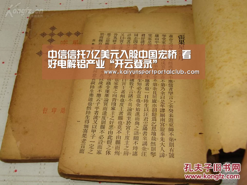 中信信托7亿美元入股中国宏桥 看好电解铝产业“开云登录”(图2) 开云体育官方