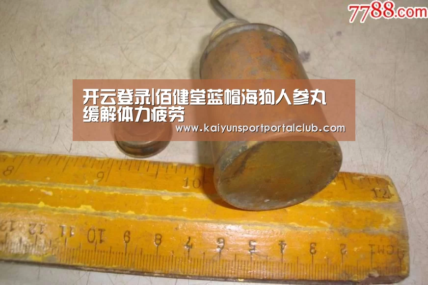 开云登录|佰健堂蓝帽海狗人参丸 缓解体力疲劳(图1) 开云登录