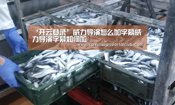 ‘开云登录’威力导演怎么加字幕威力导演字幕如何加(图4) 开云体育官方