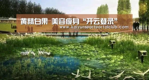 黄精白果 美容瘦身“开云登录”(图3) 开云体育官方