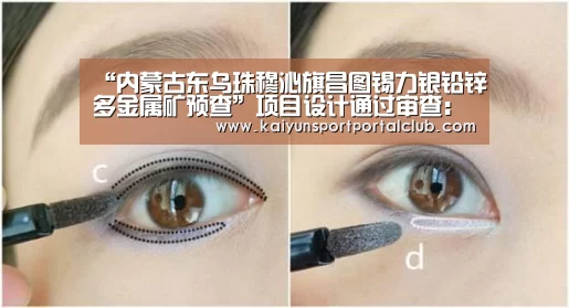 “内蒙古东乌珠穆沁旗昌图锡力银铅锌多金属矿预查”项目设计通过审查:开云体育官方(图1) 开云登录